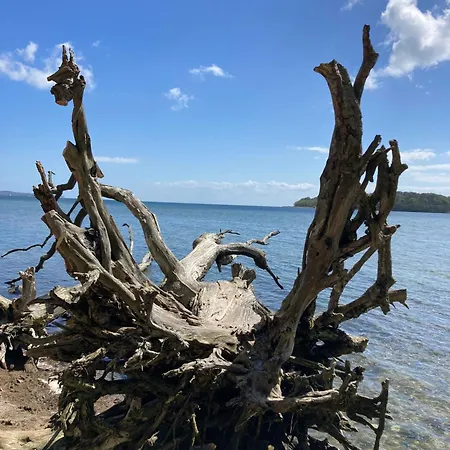 Duenenhaus In Toplage, 4 Fussminuten Zum Suedstrand Mit Blick Ueber Huegellandschaft Zur Ostsee, Schwimmbadnutzung Inklusive * Goehren (Ruegen)