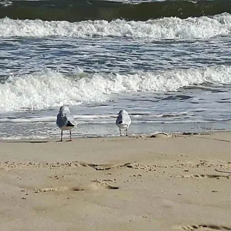Duenenhaus In Toplage, 4 Fussminuten Zum Suedstrand Mit Blick Ueber Huegellandschaft Zur Ostsee, Schwimmbadnutzung Inklusive *