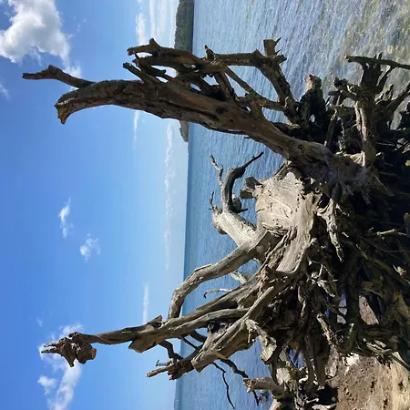 Duenenhaus In Toplage, 4 Fussminuten Zum Suedstrand Mit Blick Ueber Huegellandschaft Zur Ostsee, Schwimmbadnutzung Inklusive Apartamento
